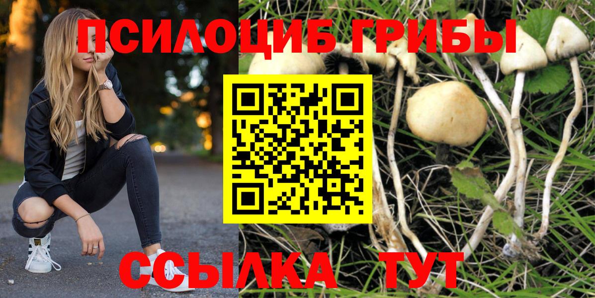 Галлюциногенные грибы мицелий Магнитогорск
